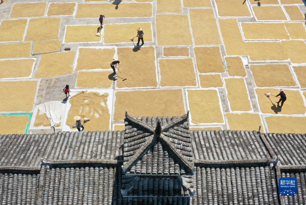 威澳门尼斯人电子游艺网上